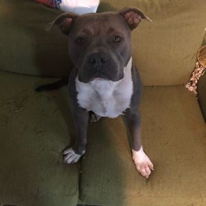 Meet your Posher, Tammy